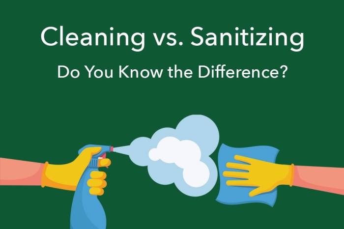 Sanitizing disinfecting Shop Sanitizing Spray Bottles Safe for Kids