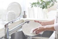 20l dishwashing liquid choice premium links Buy Dishwashing Liquids Online Premium Choice