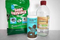Online Store for Cleaning Essentials Eco Option