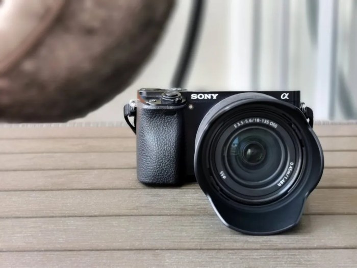 Budget Mirrorless Cameras for Travel