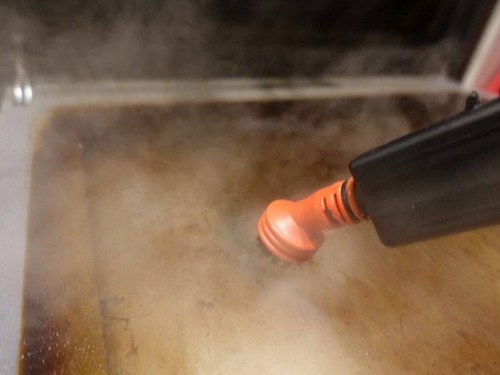 Steam Cleaners for Home Use
