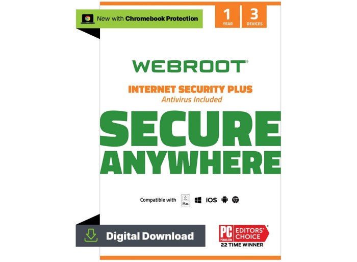 Anti-Virus Software With Annual Plan