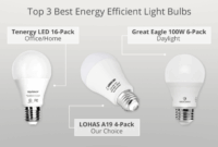 Energy-Efficient Light Bulbs