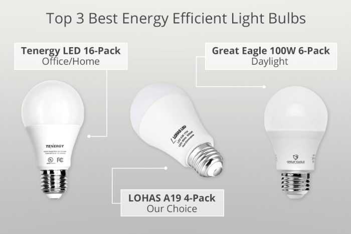 Energy-Efficient Light Bulbs